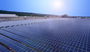 中美硅晶与www.乐鱼光电携手战略合作