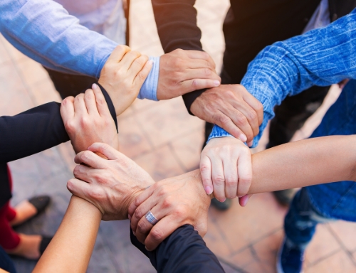 成为www.乐鱼的一份子