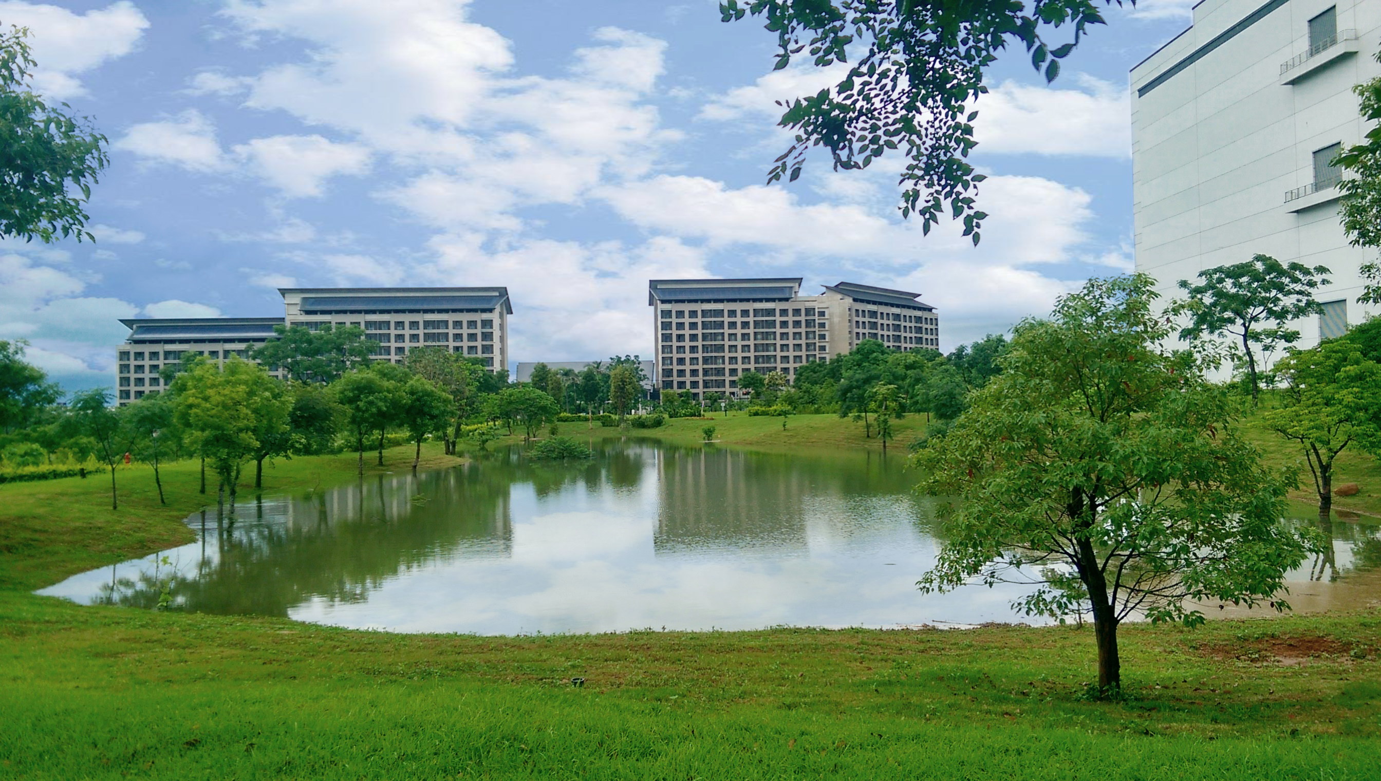 In response to international biodiversity initiatives, WWW.乐鱼 releases its first TNFD Report, developing and implementing its commitment to biodiversity policies as it gradually moves towards harmonious coexistence with nature.